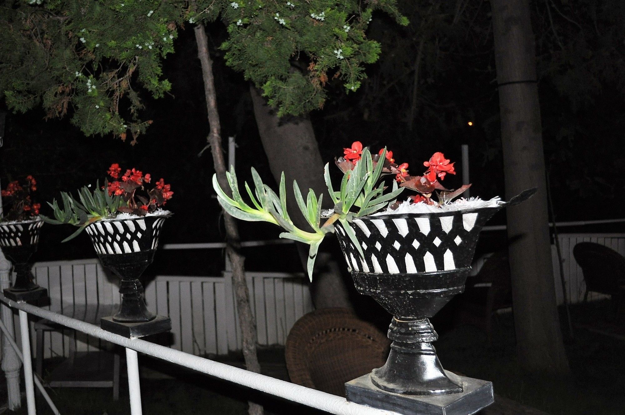 Syedra Princess Hotel Mahmutlar Kültér fotó